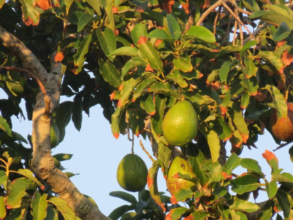 Pousada Biso Finoca Ibiraquera Imbituba  Zewnętrze zdjęcie